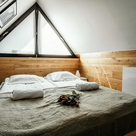 דירה Visitzakopane זקופאנה