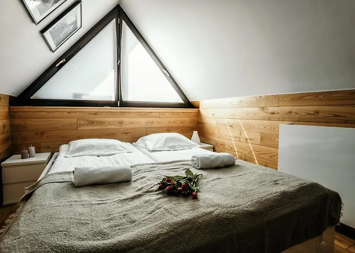 公寓 Visitzakopane 扎科帕内